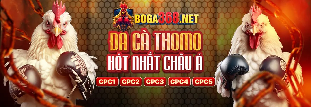 Các cấp độ VIP shbet50