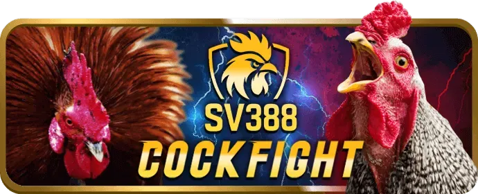 Nền tảng uy tín shbet50